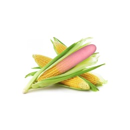 Sexshop & boutique érotique en ligne | Désir Sensuel, Eco