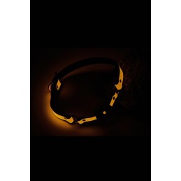 Sexshop & boutique érotique en ligne | Désir Sensuel, Boule