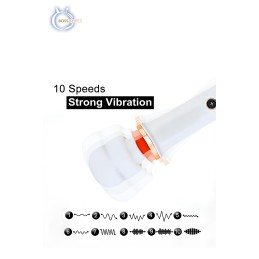 Sexshop & boutique érotique en ligne | Désir Sensuel, Wand